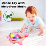 FunBlast Transparent Gear Dolphin Toy