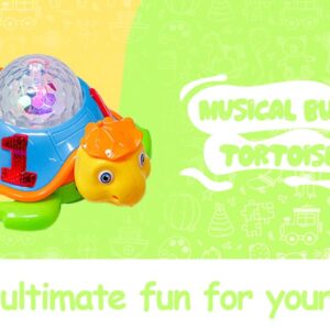 Goyal's Musical Bump and Go Tortoise Toy