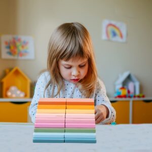 THE FUNNY MIND Learning and Educational Colorful Rectangular Wooden Balancing Game