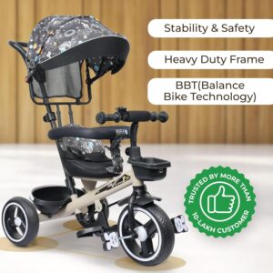 Luusa® Tricycle with Parental Control