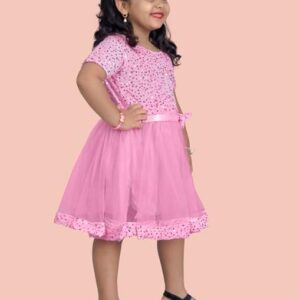 Half Sleeve Embroidery Sequinned Frock