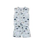 Kids Summer Wear Set