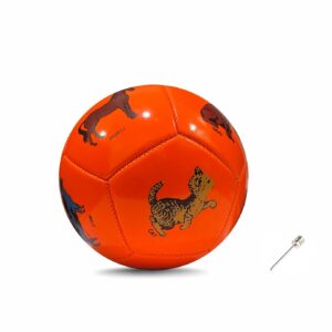 jaspo Synthetic Leather Super Soft Edu-Sports Football