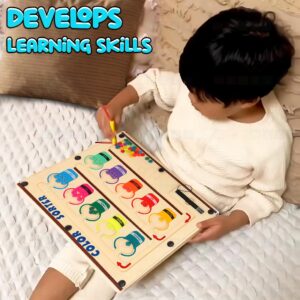 Magnetic Colour Sorting Montessori Toys