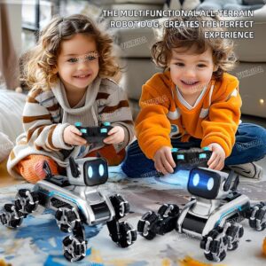 VikriDA Remote Control Cars for Kids Adults