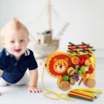 Montessori Wooden Balancing Puzzle