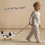 Intellibaby Premium Wooden Pull Along Dog Toy