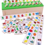 Toyshine Wooden Classification Sorting Box
