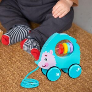 Creations Pull Along Walking Toys