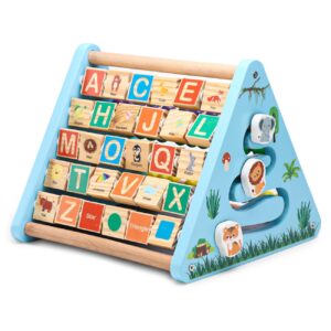 Play Nation Premium 5 in 1 Wooden Activity Triangle Toy for Kids