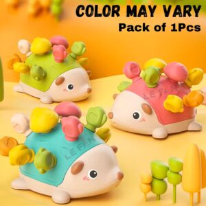 Lefan Montessori Toys Hedgehog Fine Motor Skills Sensory Toys for Toddlers