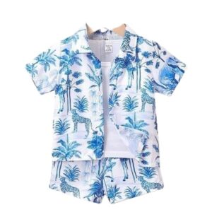 Baby Boy Summer Clothing Set