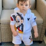 Long Sleeve Zipper Regular Fit Hoodie With Shorts