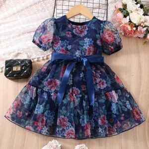 Organza Baby Girl Knee-Length Frock