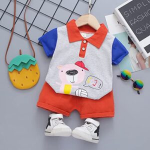 Polo Collar Tshirt With Shorts Set