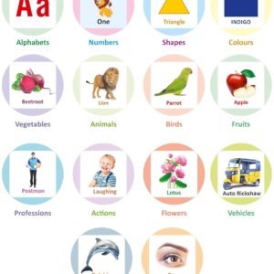 All in One Flash Cards Book for Kids Toys