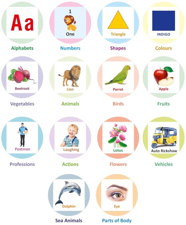 All in One Flash Cards Book for Kids Toys
