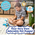 Turtle Bee Toby Robot Dog Toy