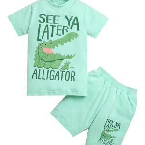 ZIP ZAP ZOOP Boys Cord Set T-shirt and shorts